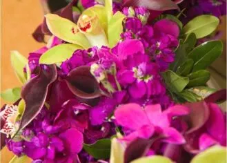 deep-plum-and-apple-green-1